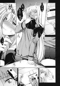 (C74) [Type-G (Ishigaki Takashi)] RDAD - Another Take (Mahou Shoujo Lyrical Nanoha StrikerS)
