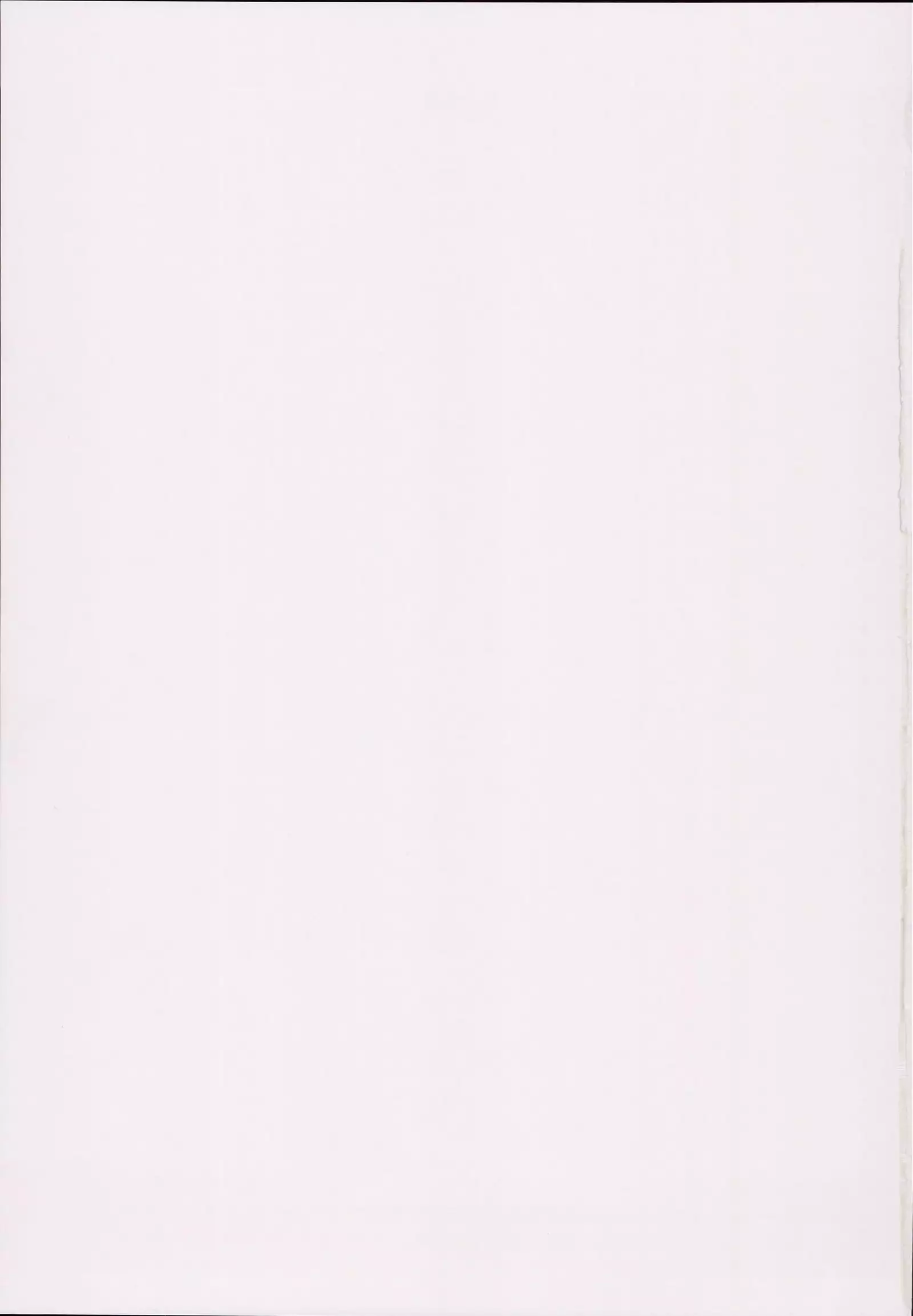 Delivery Succu!! - A report on ordering succubus escorts