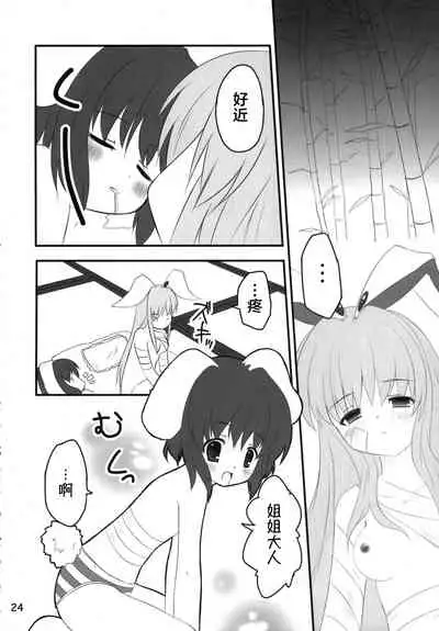 (C70) [PoM (Monchy)] Usa Uso Do-sagi Cuniculus 2 (Touhou Project) [Chinese] [乌冬个人汉化]
