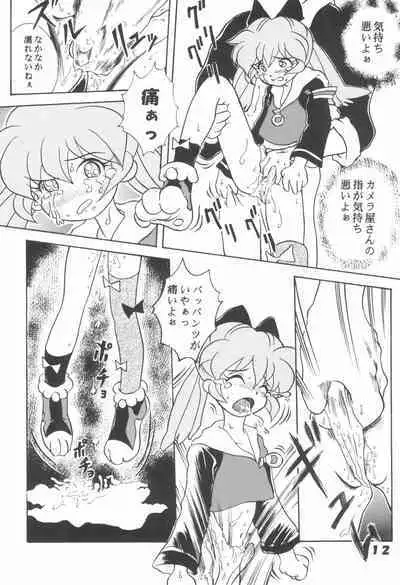 Hogo Kansatsu Doumei