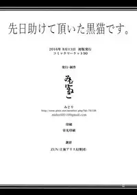 (Touhou Goudou Event 2017 Shinshun!) [Midorineko (Midori)] Senjitsu Tasukete Itadaita Kuroneko desu. | I'm the Black Cat You Helped Out the Other Day. (Touhou Project) [English] [L-san]