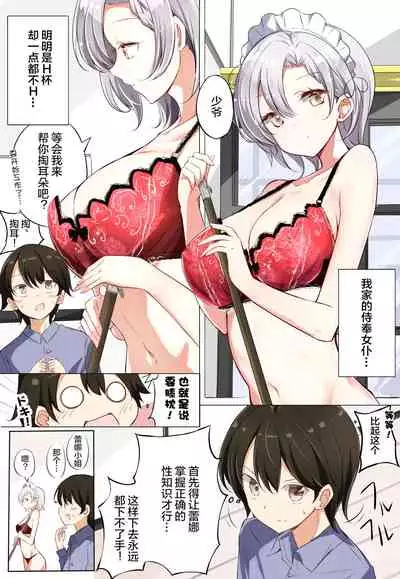H杯女仆不H