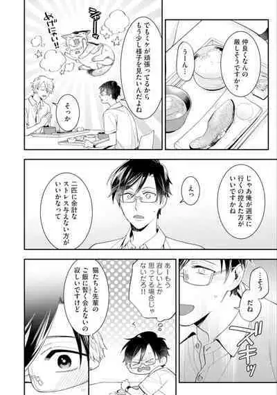 High Spec Danshi ni Natsukareteimasu