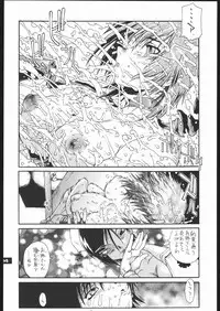 (C68) [Sekai no Hate (B-MARY)] The IDOL (Rumble Roses)