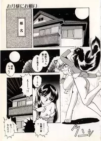 [Nakafusa Momo] Moonlight Party