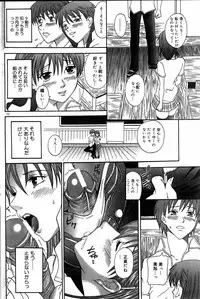 COMIC DOLPHIN 2005-08