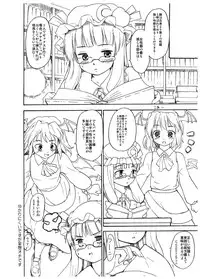 (Reitaisai 3) [Paranoia Cat (Fujiwara Shunichi)] TRANQUILLIZERS (Touhou Project)