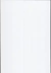 (C94) [Hinaprin (Ikuta Takanon)] Ran Summer Wars Bokura no War Game! (Touhou Project)