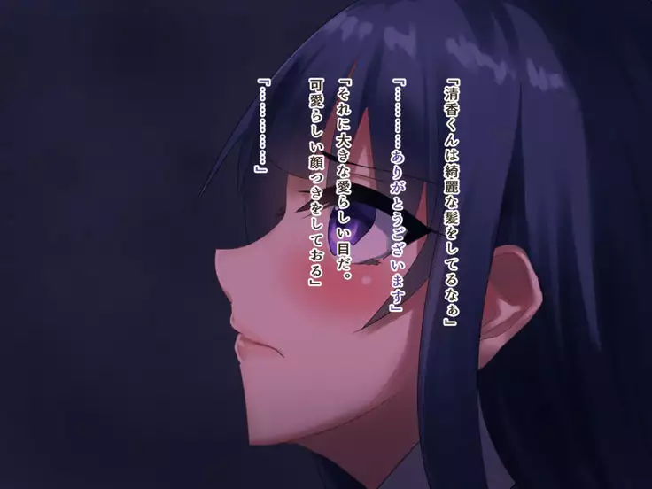 Seiso Ojousama Oyako no Netorare Life