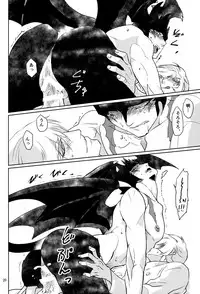 (SPARK11) [QUARTER. (Rai)] Mihitsunokoi (Cyborg 009 VS Devilman)
