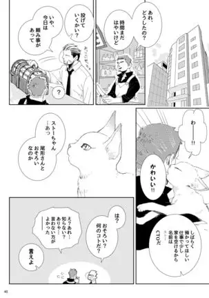 Flight ※ Web Sairoku