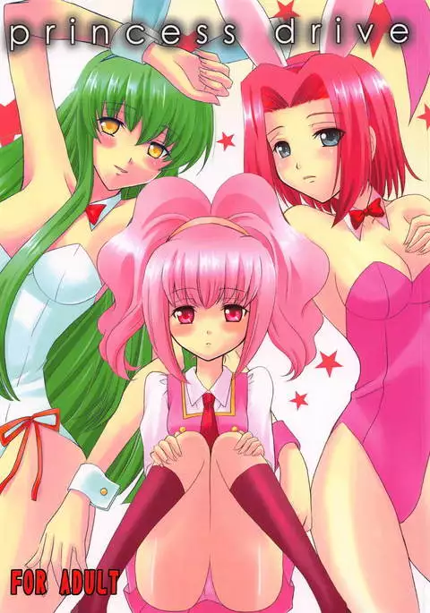 princess drive