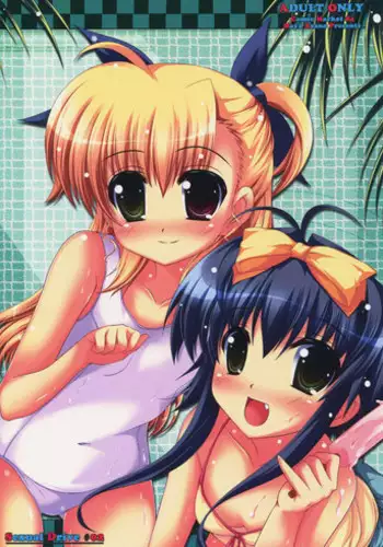 [Miyazaki Maya] Blush-DC ~Himitsu~ Vol.4