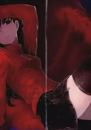 Fate/stay night イラスト集 「薄闇」