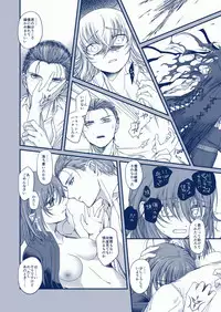 [Ebifry Akita] 彗星を掴んだ日 (Fate/Grand Order)