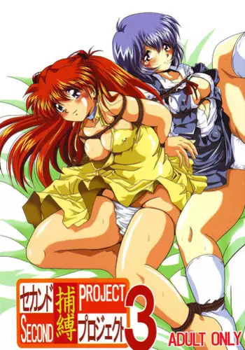 [Thirty Saver Street 2D Shooting (Maki Hideto, Sawara Kazumitsu, Yonige-ya No Kyou)] Second Uchuu Keikaku (Neon Genesis Evangelion)