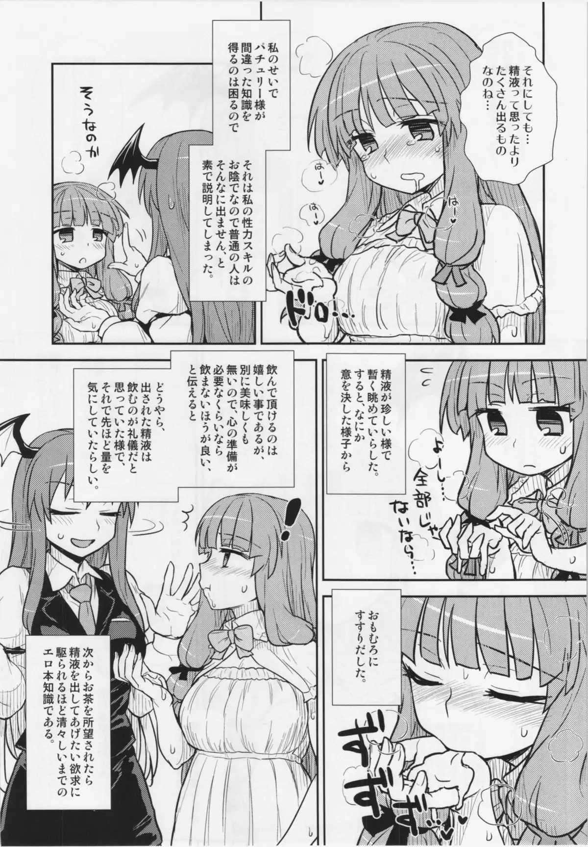 Koakuma no Patchouli Kansatsuki