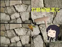 [Okumoto Yuuta] himitsu no hanazono karuten [Chinese] [杵蜂岩壁之等不到漢化只好他媽的亂翻翻錯當作沒看到]