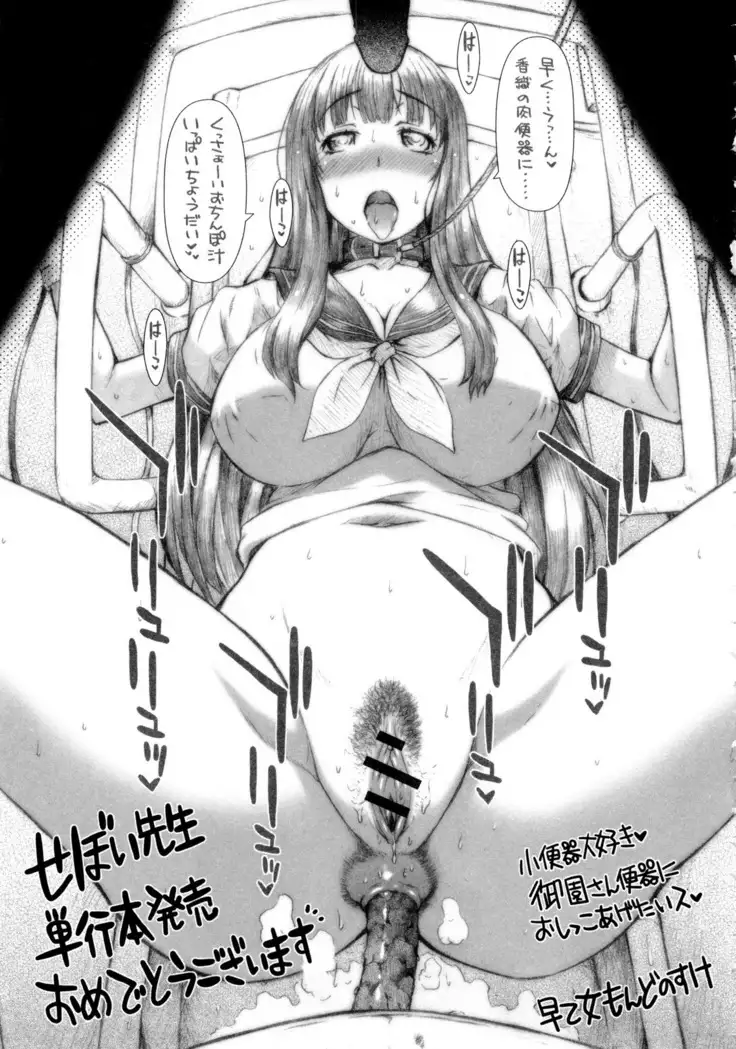 Watashi no Himitsu no Seiheki