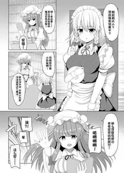 Patchouli no Jikken de Succubus ni Natta Sakuya-san