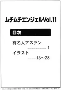 (SC31) [MuchiMuchi7 (Hikami Dan, Terada Tsugeo)] MuchiMuchi Angel Vol. 11 (Gundam Seed Destiny)
