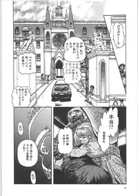 [Shunmin Mk,III]Crack Angel