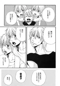 [Natsume Katsura] Custom Dolly's