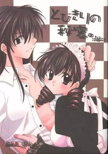 Tobikkiri no Himitsu