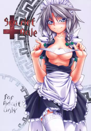 (C93) [Flying Bear (Hiyou)] Miyako Hyakkei Chukan (Touhou Project)
