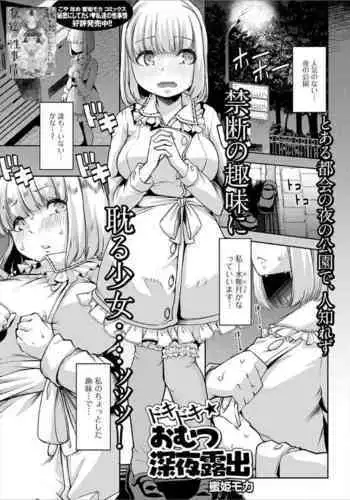 Dokidoki ? omutsu shin'ya roshutsu
