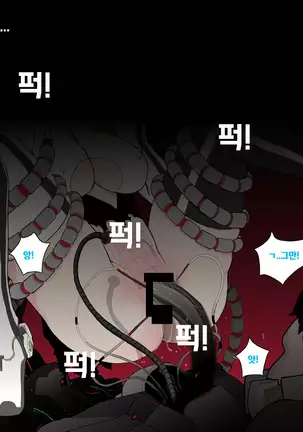 아이샤의 희생