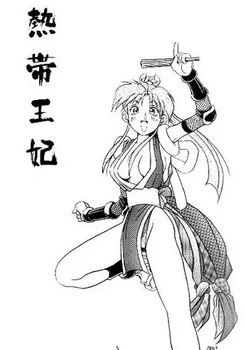 (C47) [KENIX (Ninnin!)] Nettai Ouhi 2 (Capcom VS SNK)