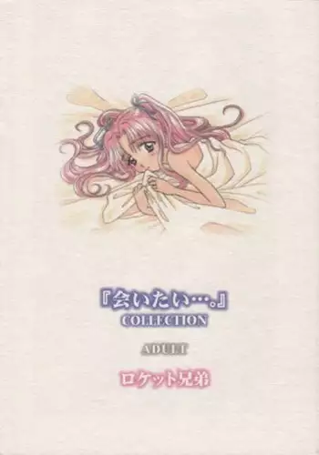 (C55) [Rocket Kyoudai] Aitai... COLLECTION (Sentimental Graffiti) [Incomplete]