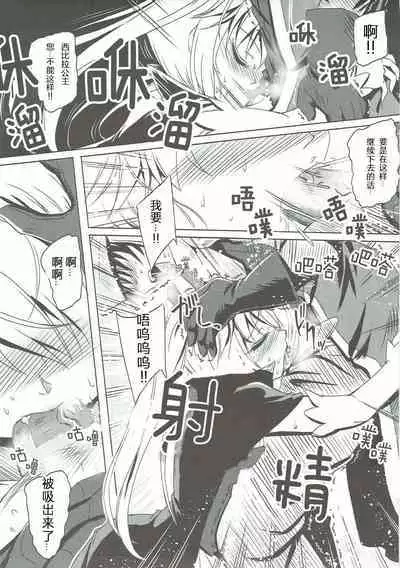 Yamiyo ni Samayou Princess | 于暗夜徘徊的王国公主