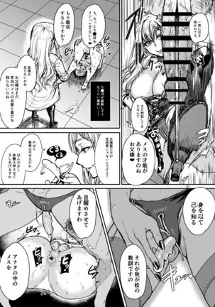 Mesuiki Gakuen Nyuugaku no Shiori +