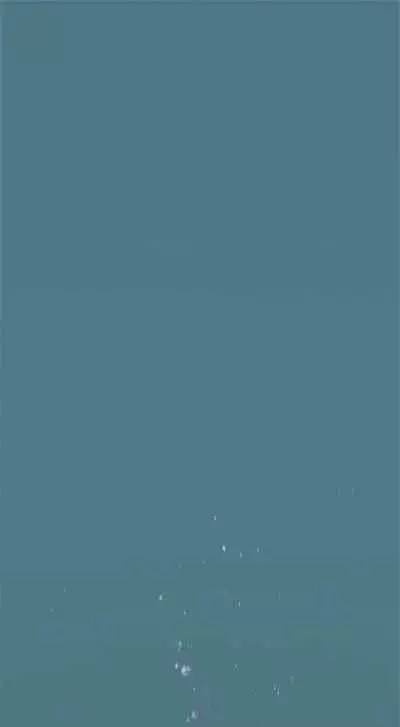 [週五] [洋世 & 經文旗] 衝突 1-99 官方中文（連載中）