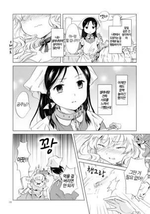 Hime-sama to Dorei-chan | 공주님과 노예쨩