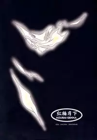 (C65) [Koubai Gekka (Kouno Mizuho)] hanshin (Demonbane)