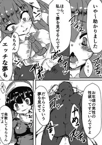 (C90) [Shirousausa (Mekuri)] Yumemiusagi (Touhou Project)
