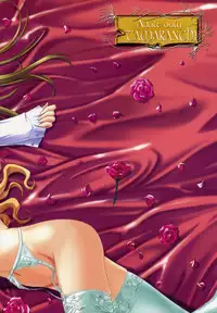 (C71) [TAMARANCHI (Shinbo Tamaran)] Amaryllis ～ Sanbi saseru Koi ～ (Otome wa Boku ni Koishiteru)