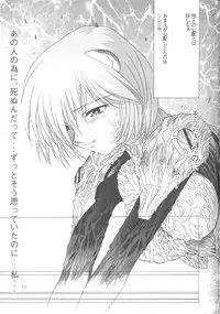 Ayanami Rei-shiki; Neon Genesis Rei-II