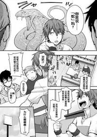Kemonokko Tsuushin