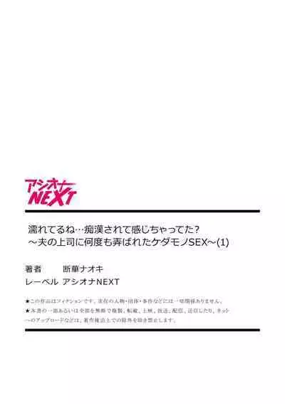 Nure Teru Ne… Chikan Sa Rete Kanji Chatteta ~ Otto No Joushi Ni Nando Mo Moteasoba Reta Kedamono SEX Chapter 1