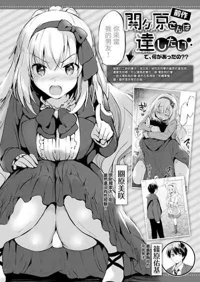 Sekigahara-san wa Dasaretai
