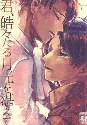 (Kyuushuu Hekigai Chousa Haku) [VOLLMOND (Yattsun)] Ukeirete Destiny (Shingeki no Kyojin)