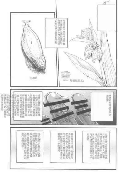 (C102) [Kakumei Seifu Kouhoushitsu (Various)] Dankon no Ethnography -Malakovia no Sei to Haisetsu- | 格拉・阿玛拉科维亚的性与排泄-男根的欲望 (Various) [Chinese]