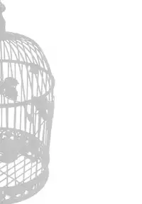 (C78) [Shoujo Kishidan (Oyari Ashito)] YUKIHO HAGIWARA in the Bird Cage (THE IDOLM@STER)