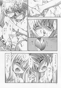 (C77) [Sagamani. (Sagami Inumaru)] Yoru ga Akeru made (Mahou Shoujo Lyrical Nanoha)