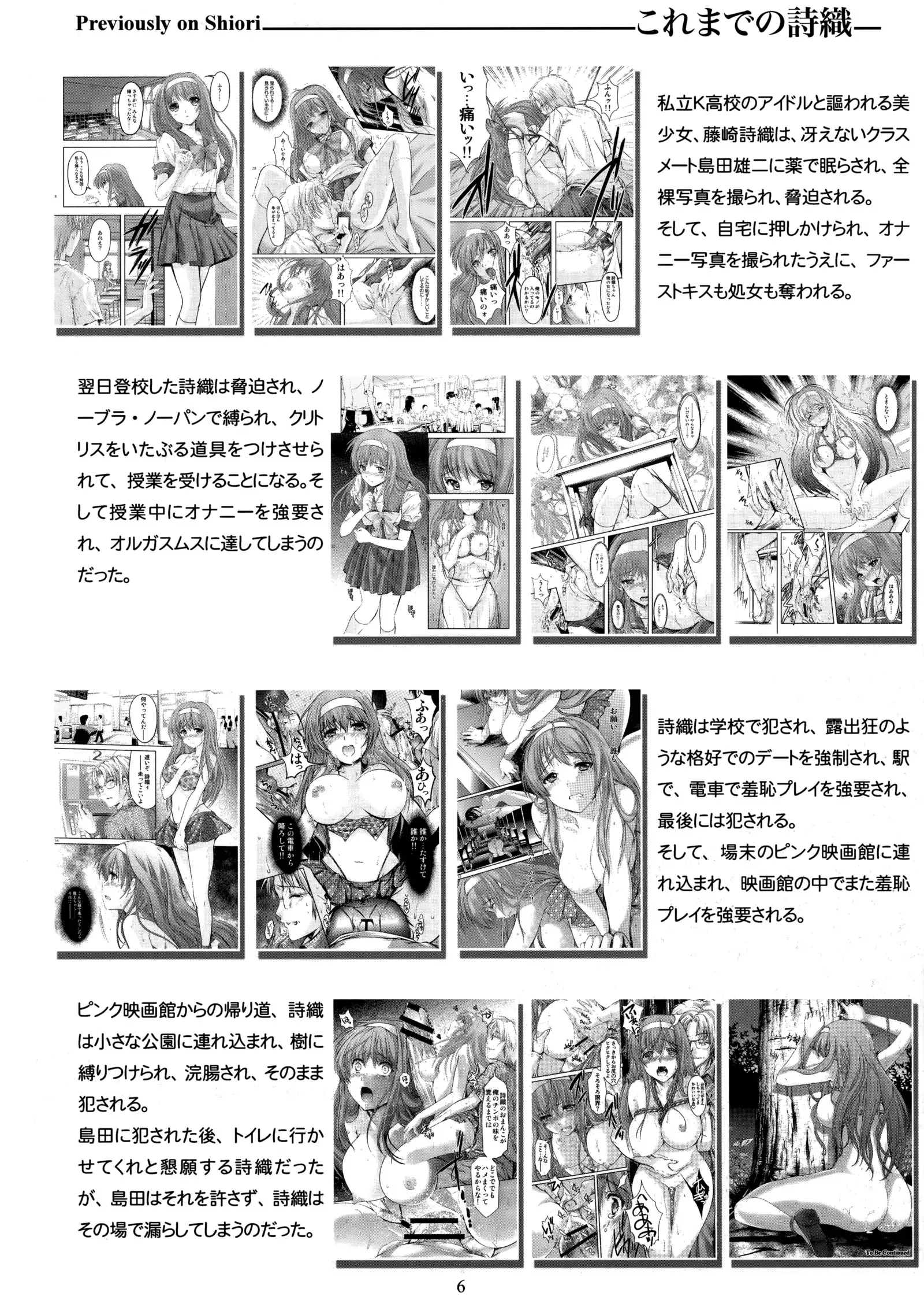 Shiori Dai-Yon-Shou Futarime no Jushin Shinsouban