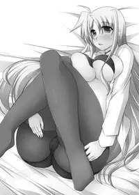 (C79) [ArcS (Sakura Yuu)] S.W.2nd -SIDE:F- (Mahou Shoujo Lyrical Nanoha) [Digital]